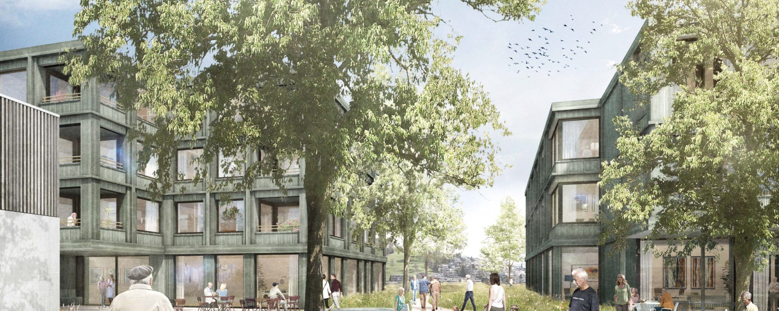 487 Holzbau - Durchblick